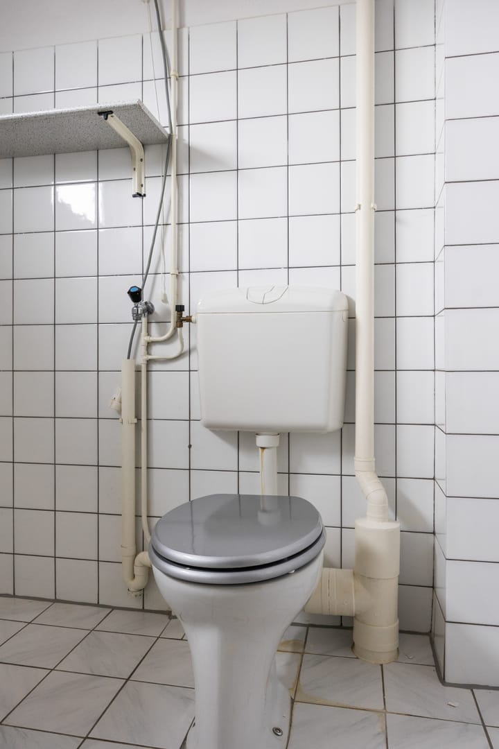 Foto 36 van Fazant 9