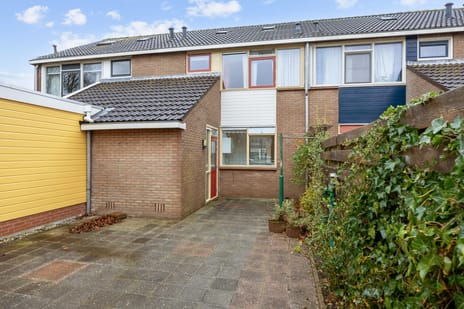 undefined main image