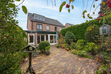 Drumptselaan thumbnail