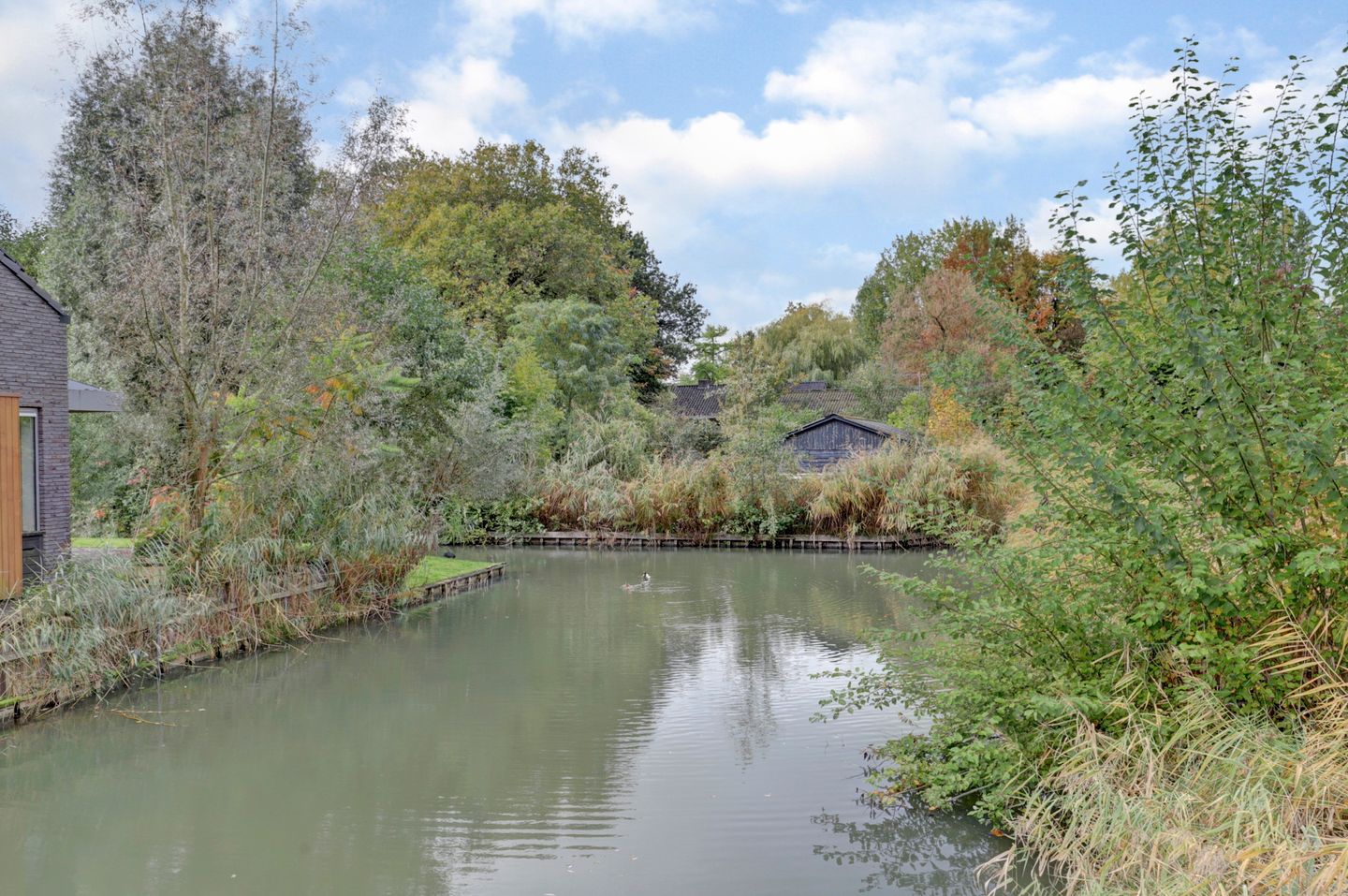Photo 40 of Edmond Audranstraat 175