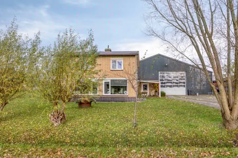 undefined main image