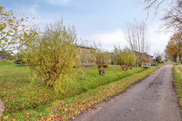 Foto 4 van Scheidingsweg 10