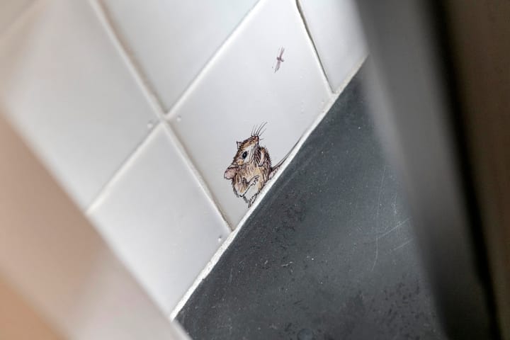 Foto 32 van Weerstraat 47