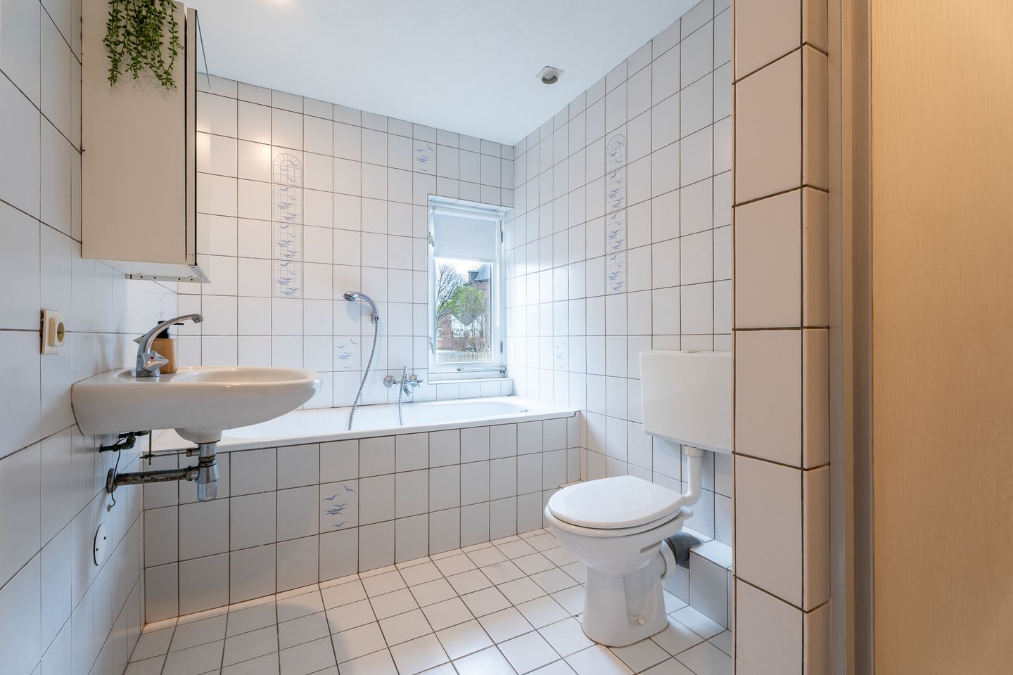 Foto 25 van Cruijgenstraat 4