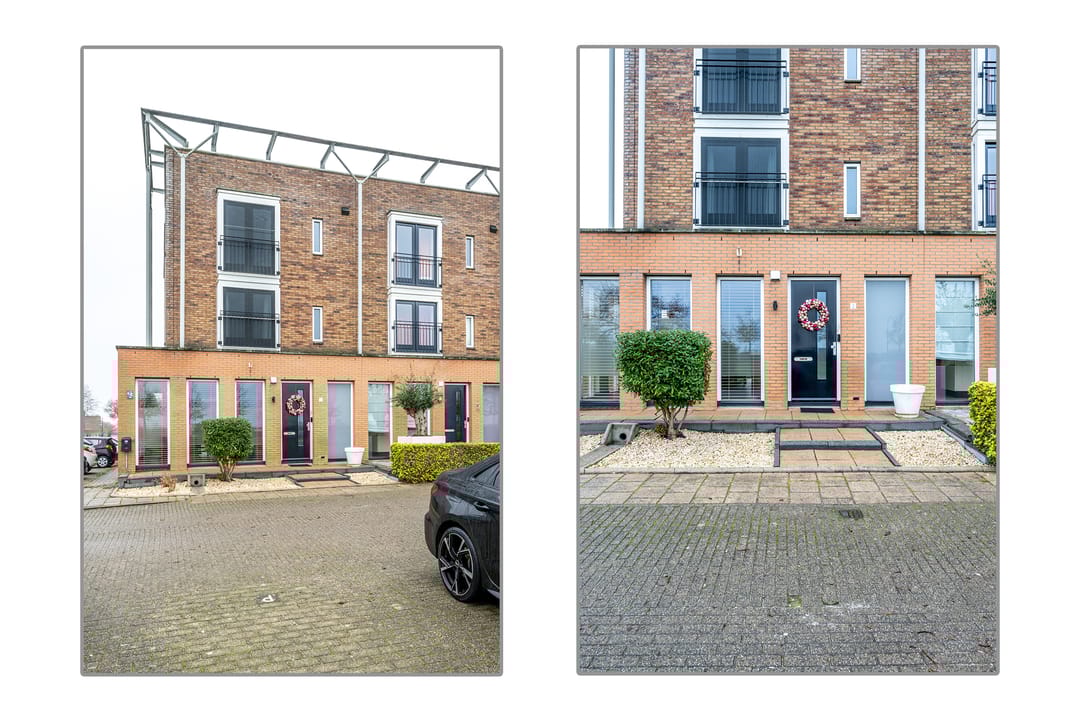 Foto 2 van Zilvermos 2