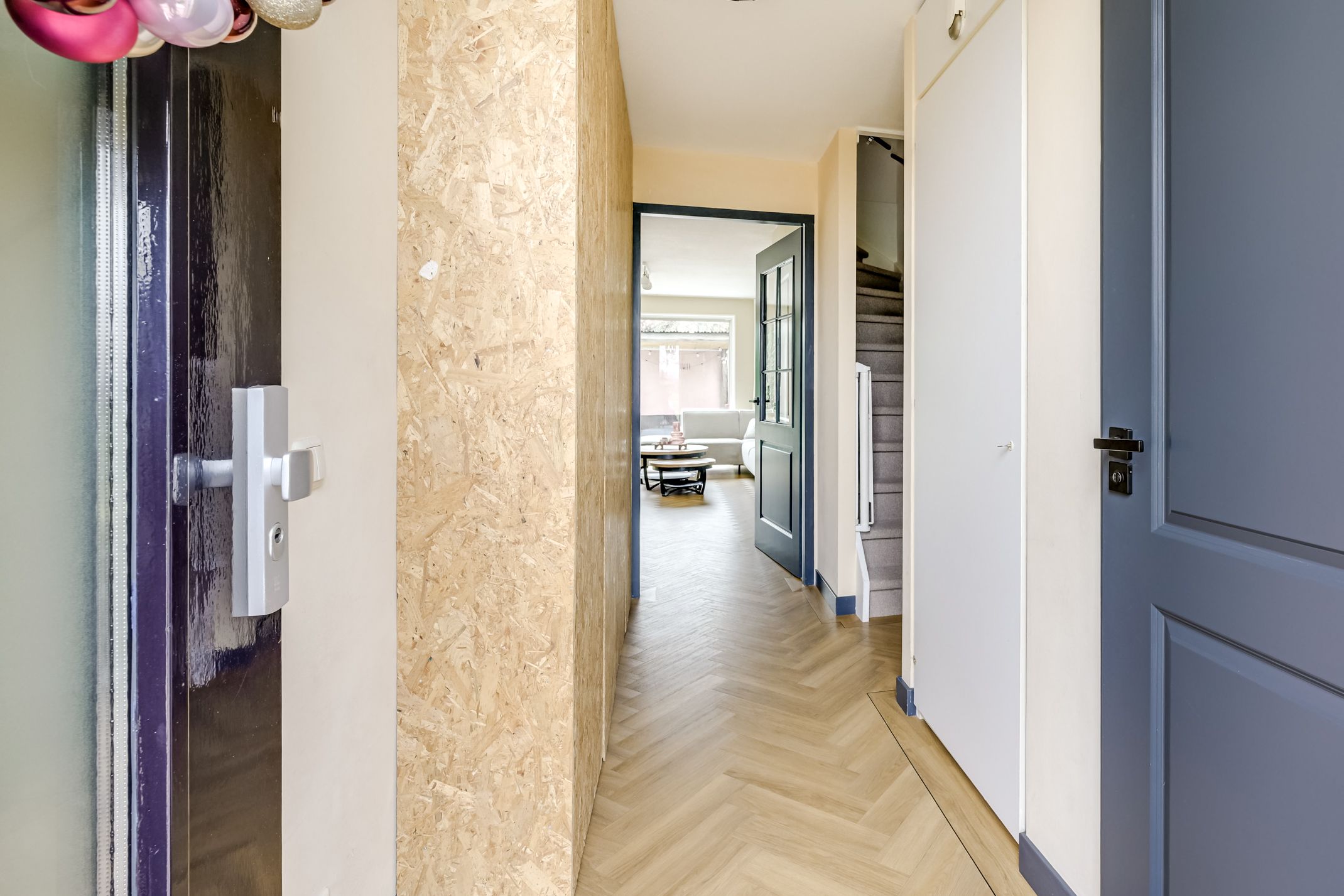 Foto 3 van Zilvermos 2