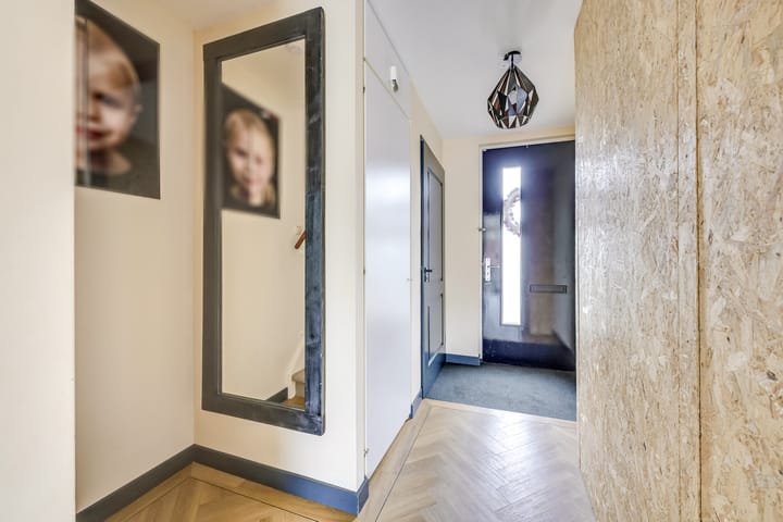 Foto 4 van Zilvermos 2