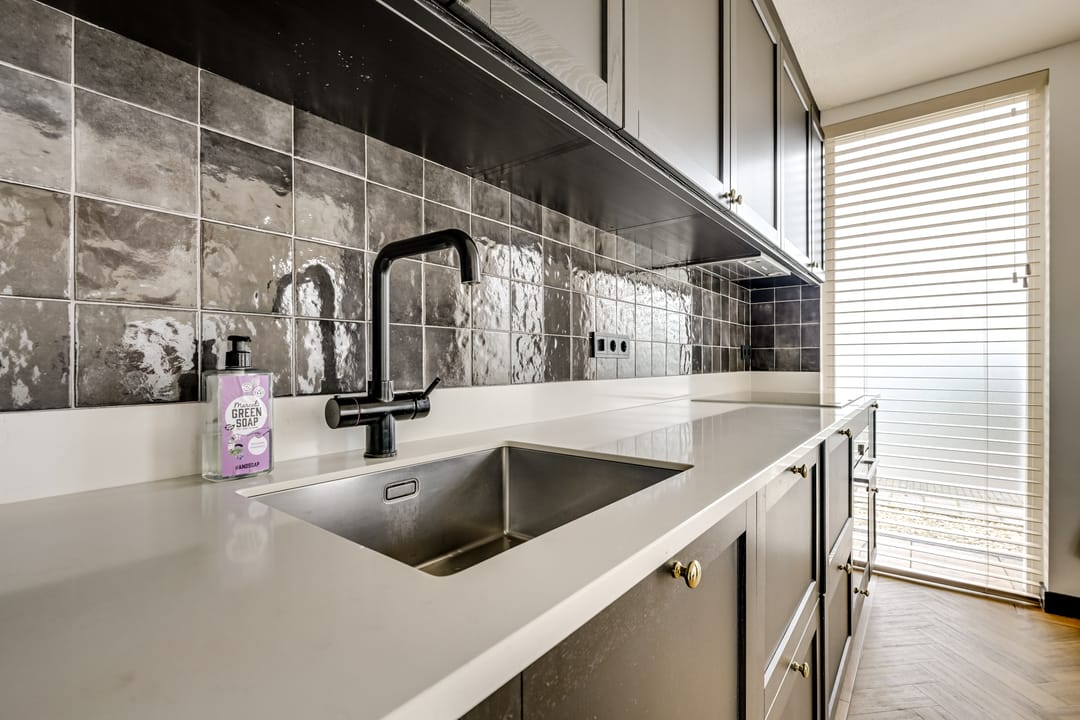 Foto 22 van Zilvermos 2