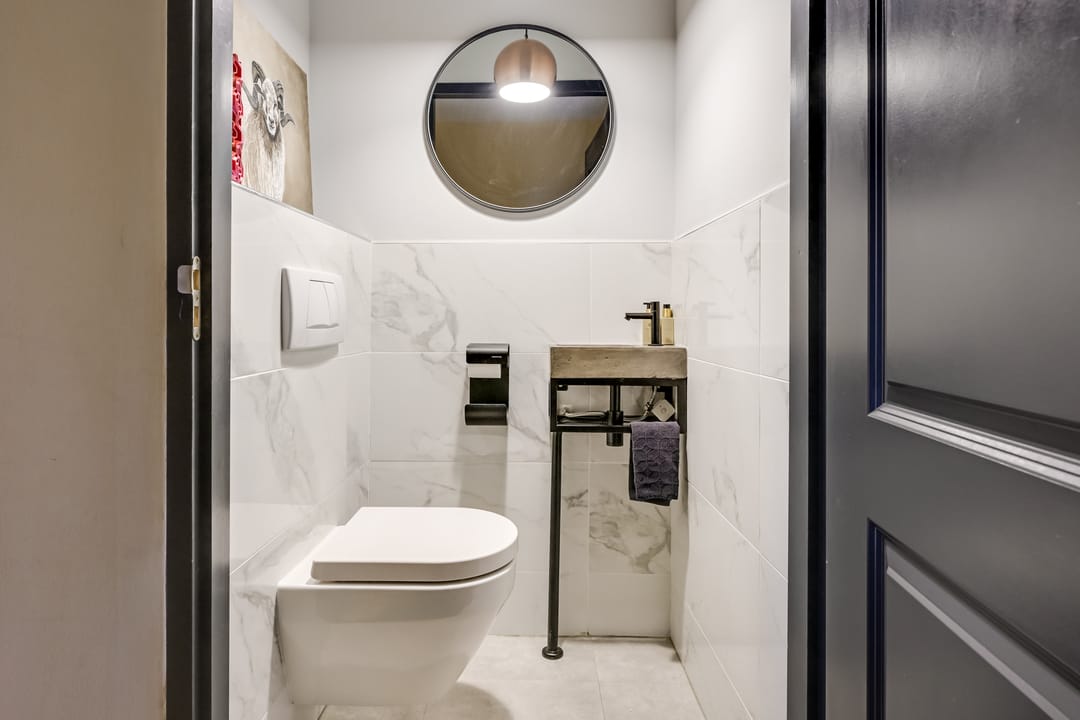 Foto 26 van Zilvermos 2