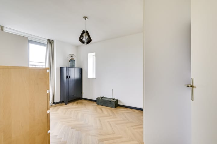 Foto 36 van Zilvermos 2