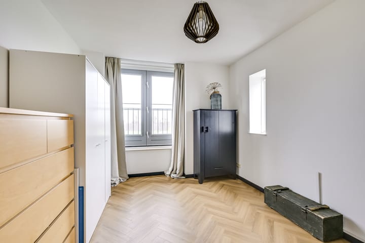 Foto 37 van Zilvermos 2