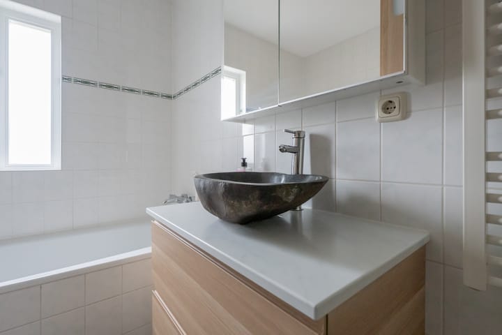 Foto 40 van Zilvermos 2