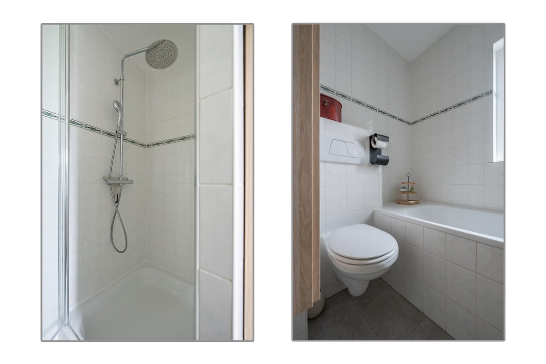 Foto 41 van Zilvermos 2