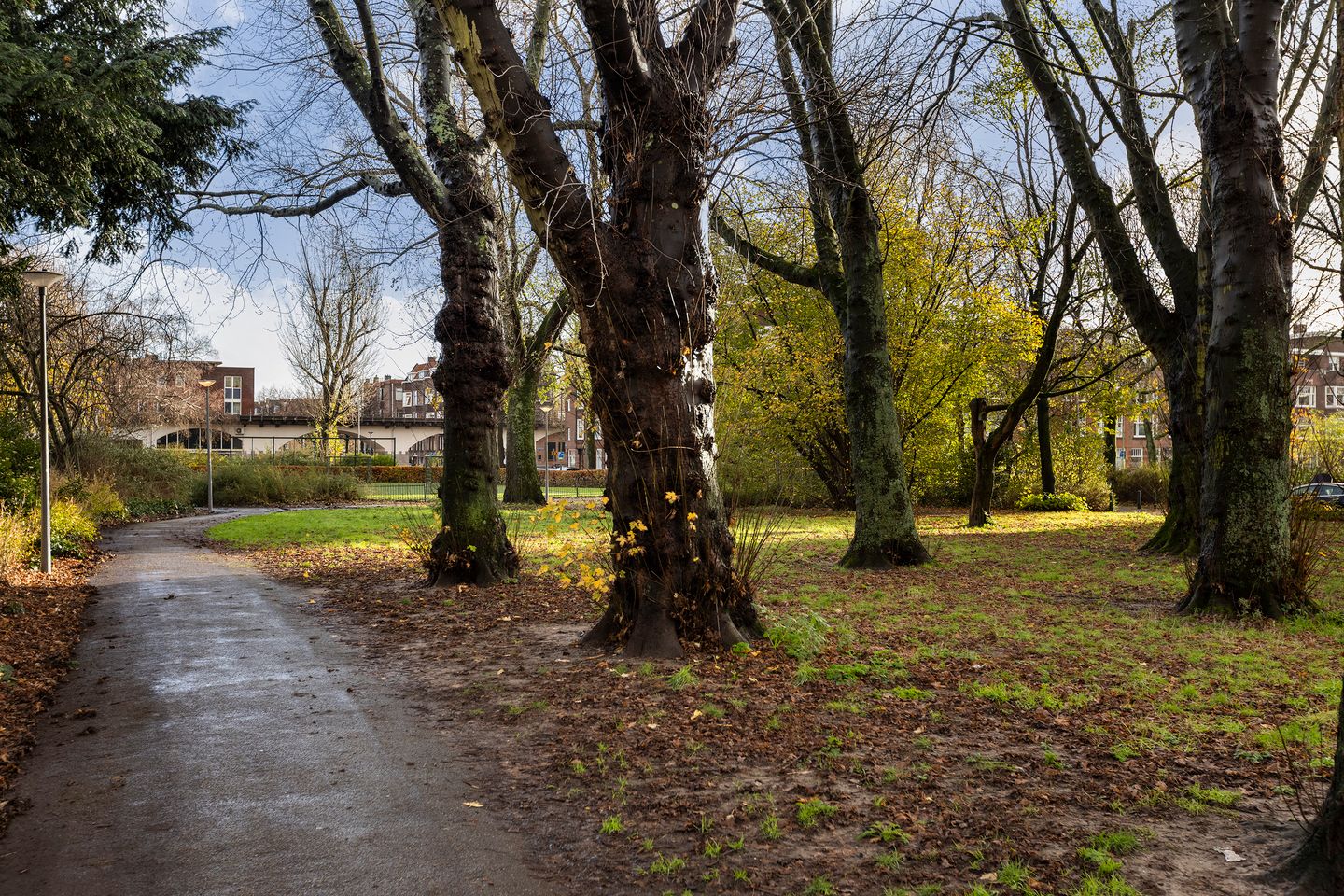 Foto 44 van Gordelweg 170-B01