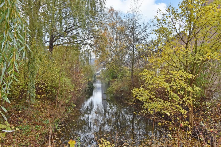 Foto 34 van De Backerstraat 15