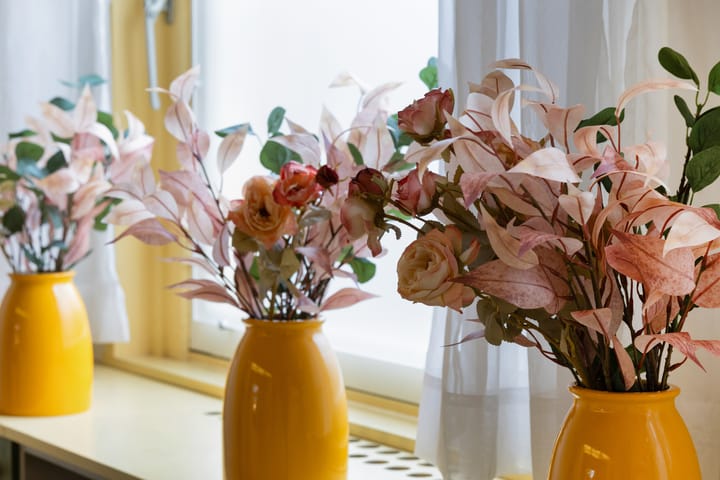 Photo 49 of Graaf Jan van Nassaustraat 9