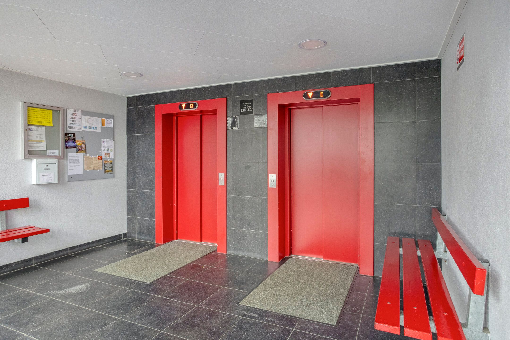 Photo 9 of Tjaarda 42