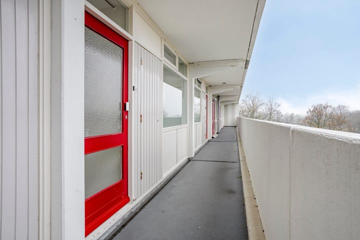 Foto 11 van Tjaarda 42