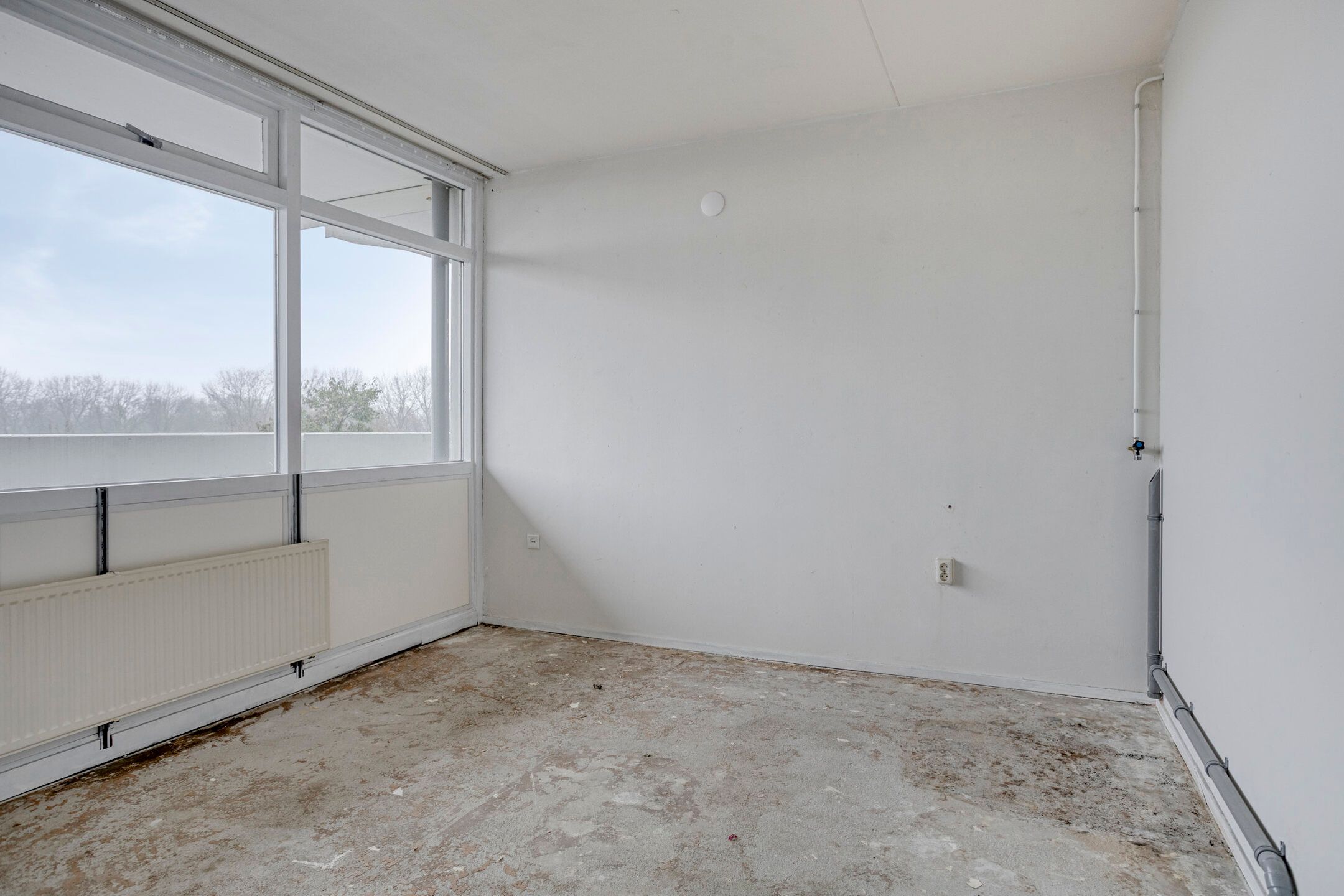 Photo 21 of Tjaarda 42