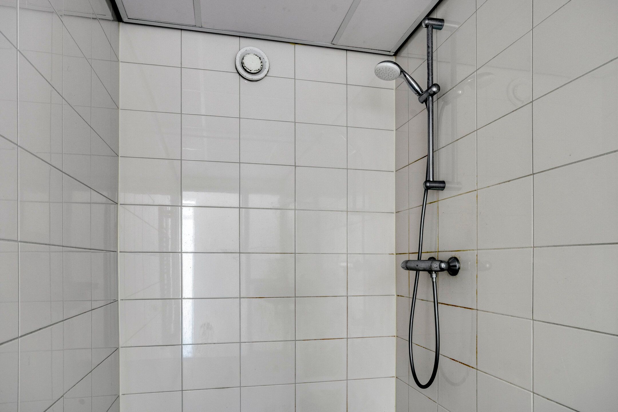 Photo 24 of Tjaarda 42