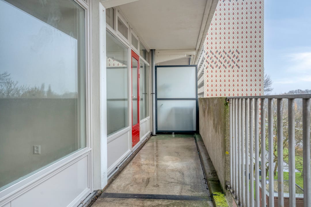 Photo 31 of Tjaarda 42