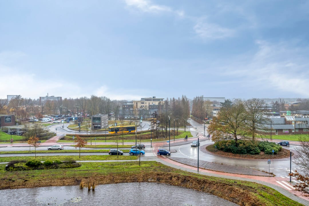 Photo 32 of Tjaarda 42