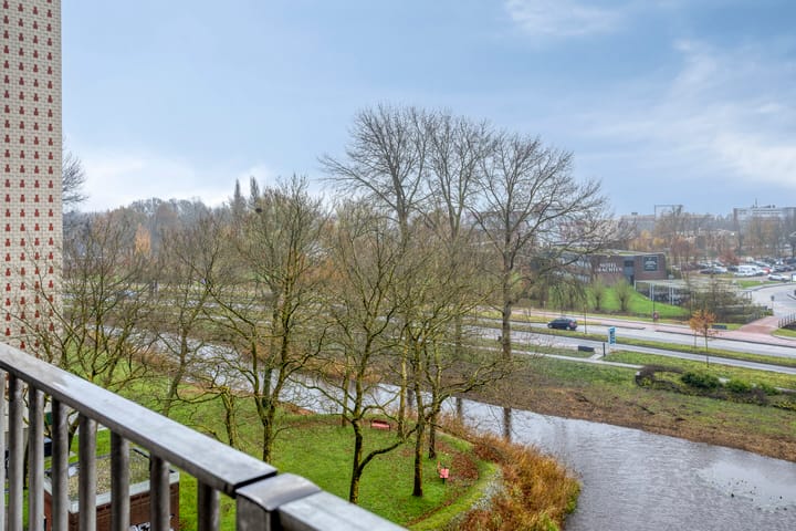 Foto 33 van Tjaarda 42