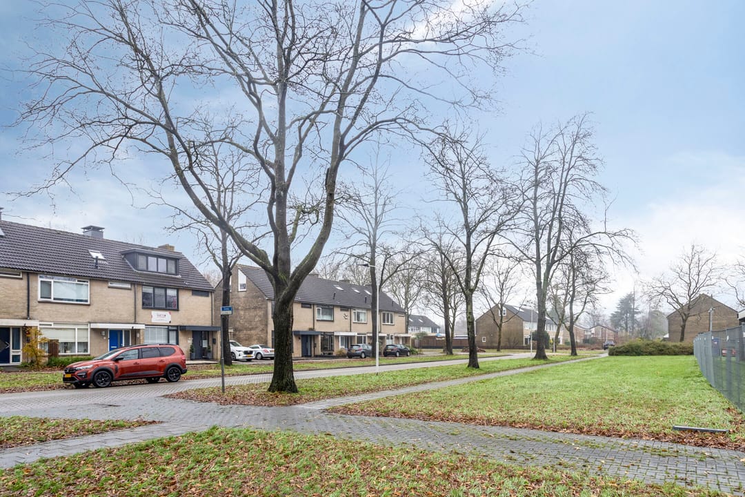 Photo 37 of Tjaarda 42