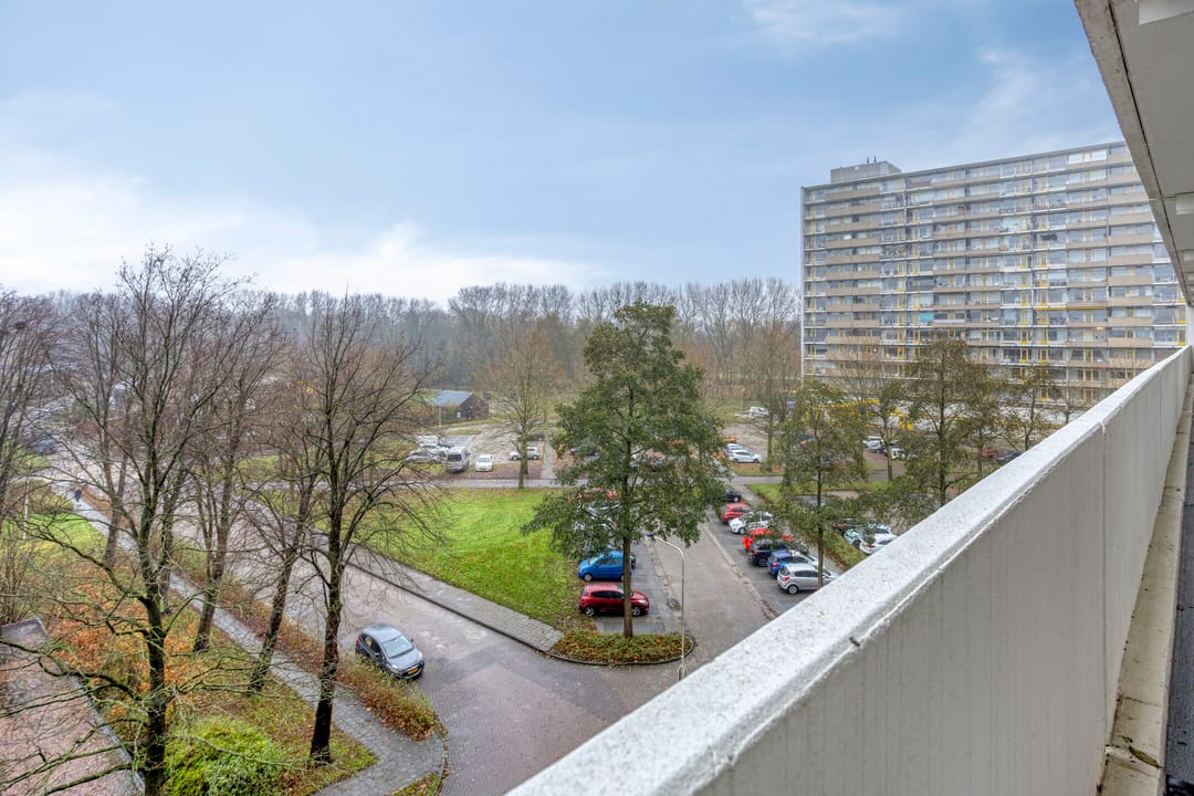 Photo 38 of Tjaarda 42