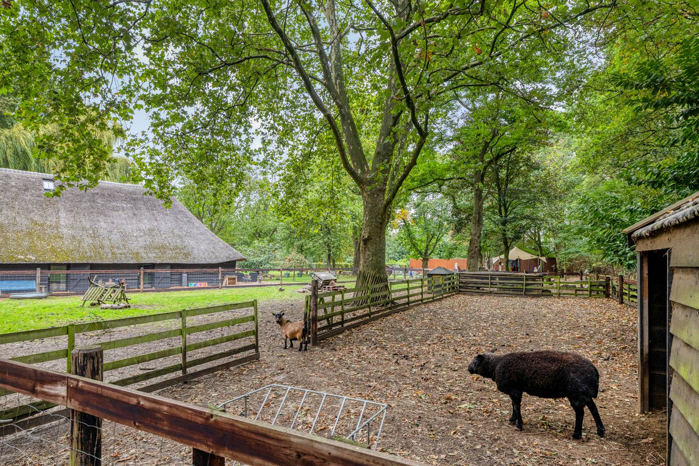 Foto 80 van Beeksestraat 76