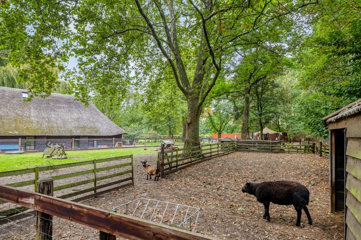 Foto 80 van Beeksestraat 76