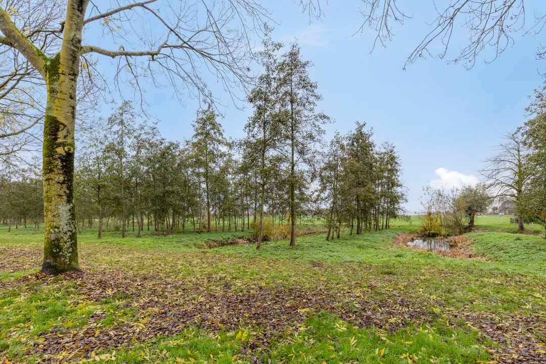 Foto 47 van Kerkstraat 17-A