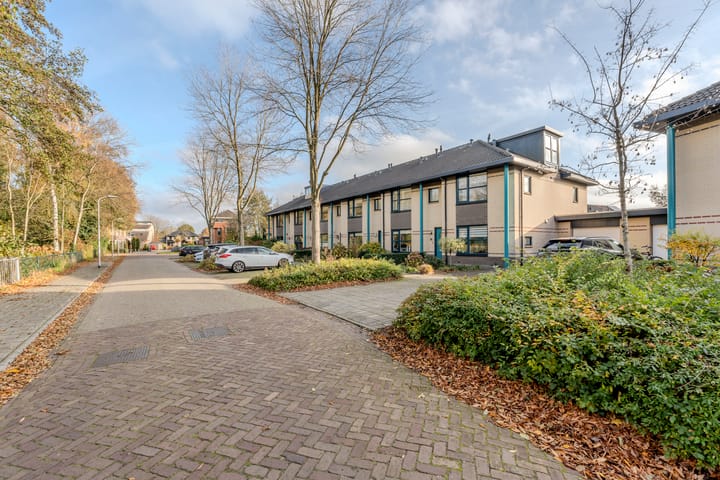 Photo 2 of Schelde 11