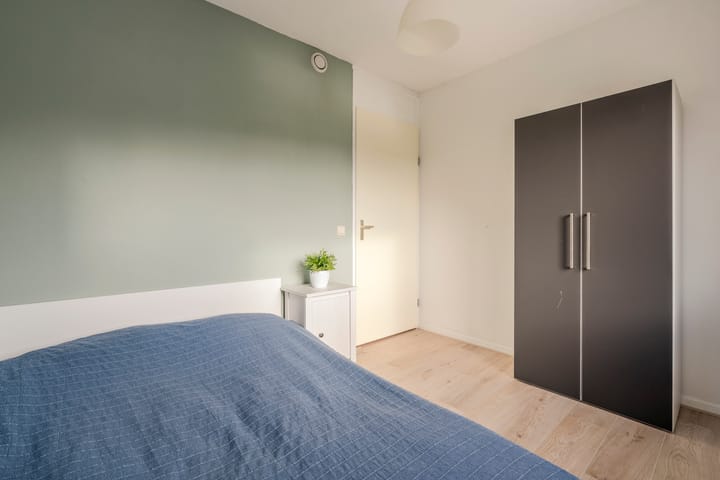 Foto 31 van Schelde 11