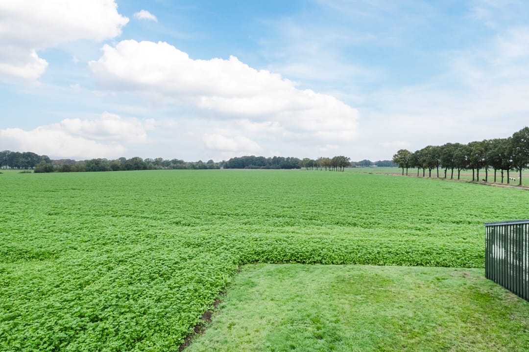 Foto 52 van Dukesvoort 2