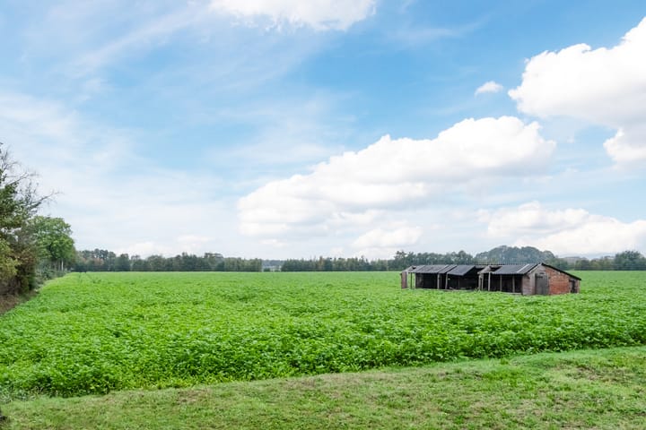 Foto 53 van Dukesvoort 2