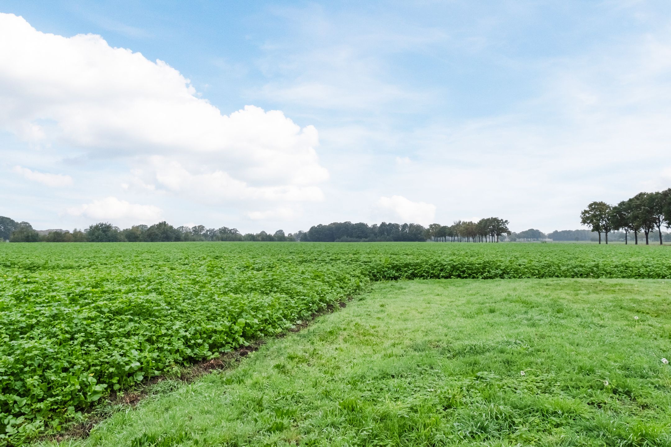 Foto 54 van Dukesvoort 2