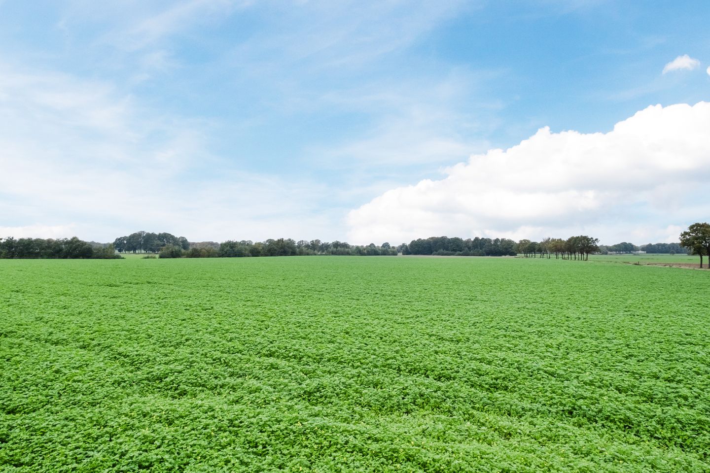 Foto 55 van Dukesvoort 2