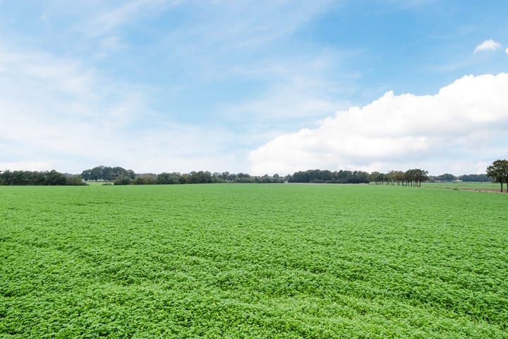 Foto 55 van Dukesvoort 2