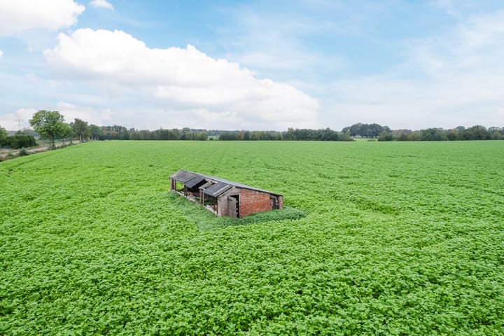 Foto 3 van Dukesvoort 2