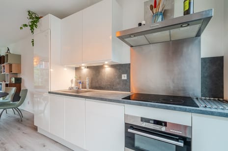 Gerard Revestraat 120 tertiary image