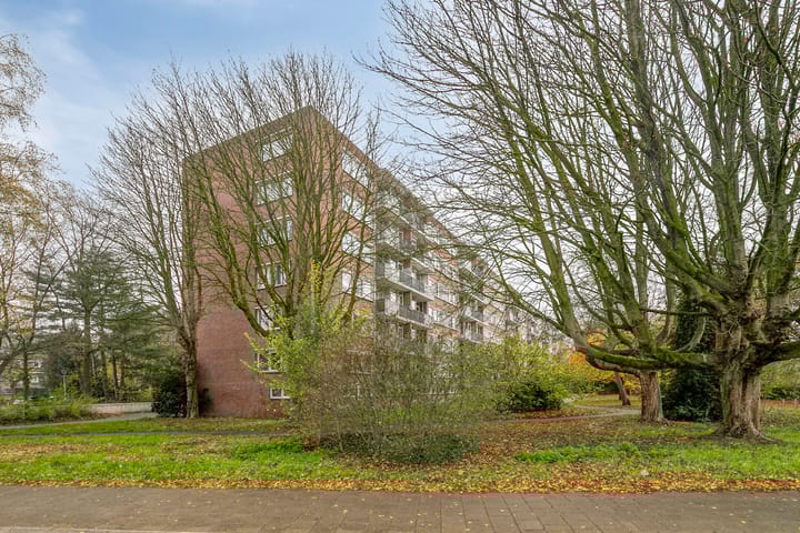 Photo 8 of Cederstraat 141