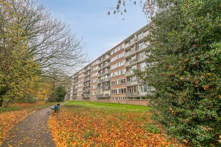 Photo 9 of Cederstraat 141