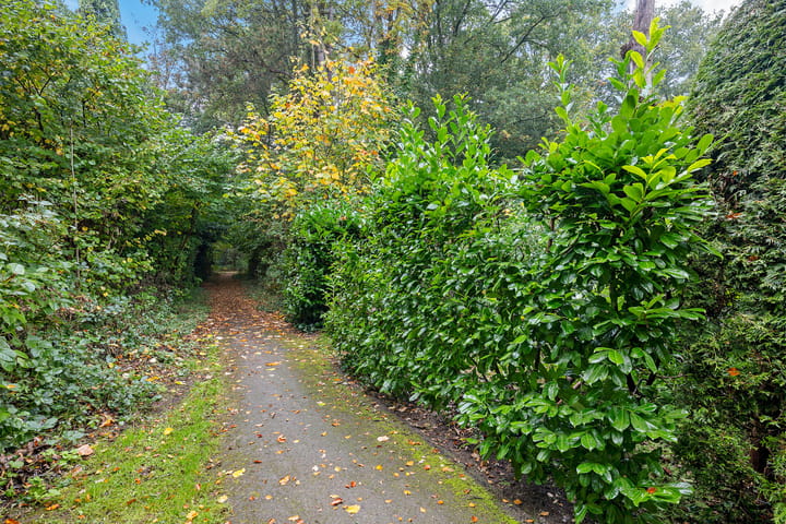 Photo 43 of De Fledders 40