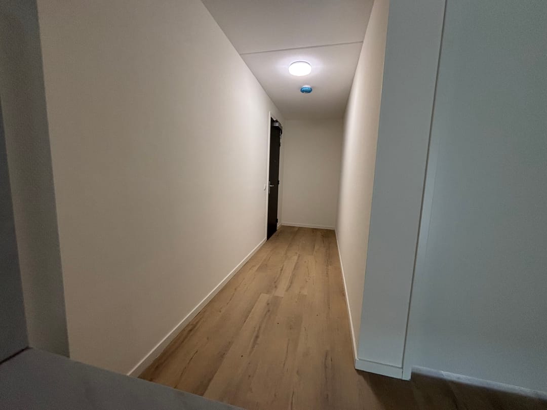 Foto 2 van Hoogstraat 387