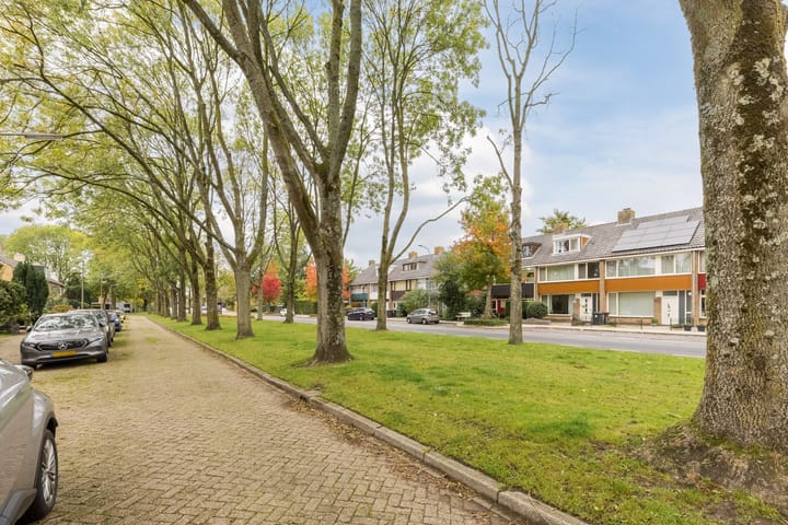 Photo 34 of Arthur van Schendellaan 32