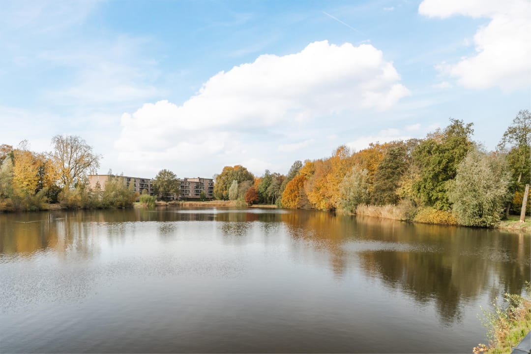 Foto 2 van Bosboompad 13