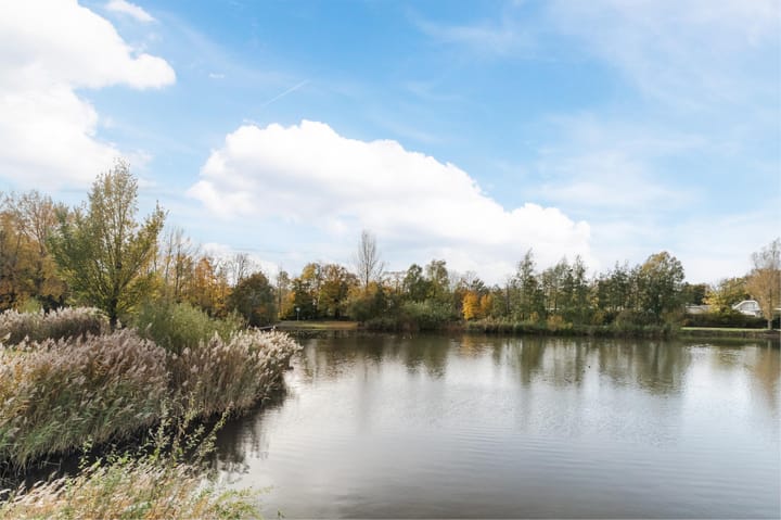 Photo 21 of Bosboompad 13