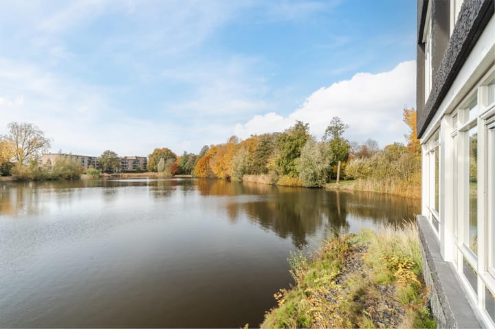 Photo 22 of Bosboompad 13