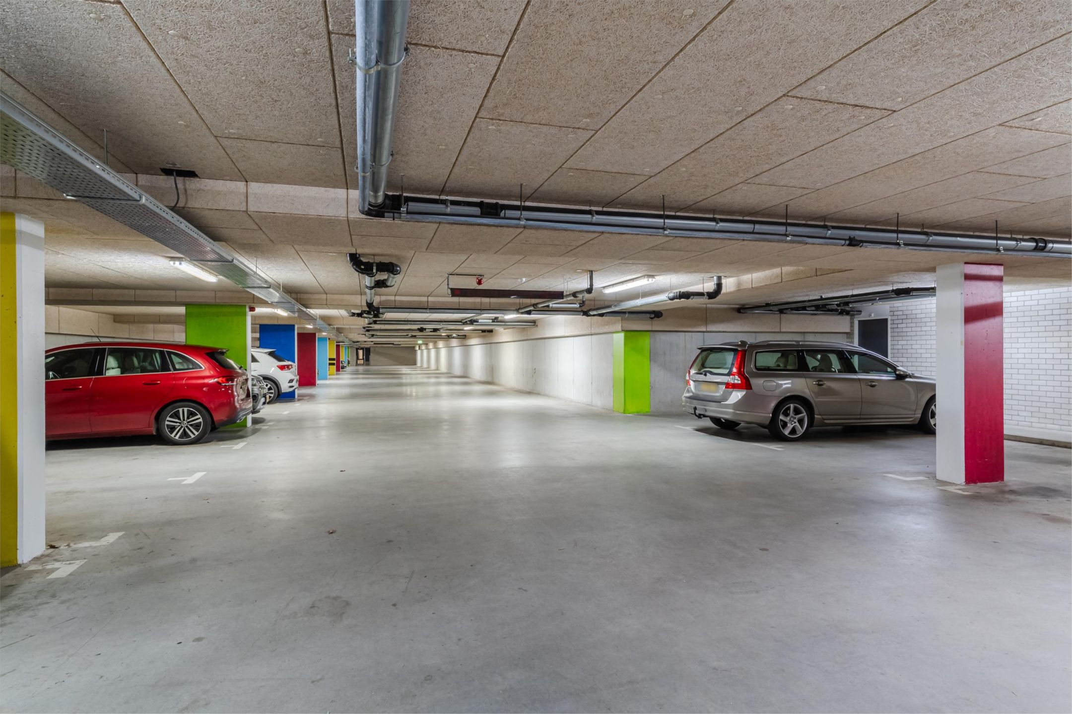 Foto 27 van Bosboompad 13